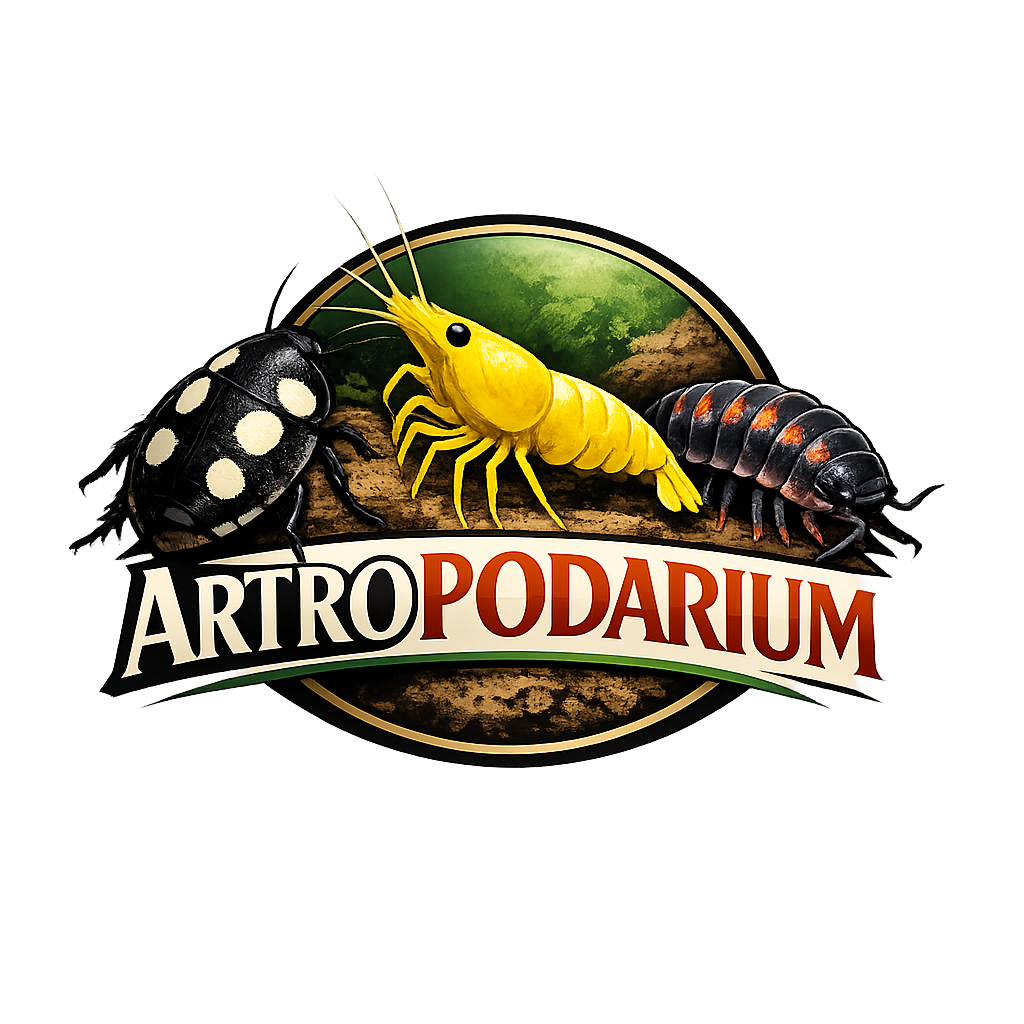 Artropodi e Invertebrati